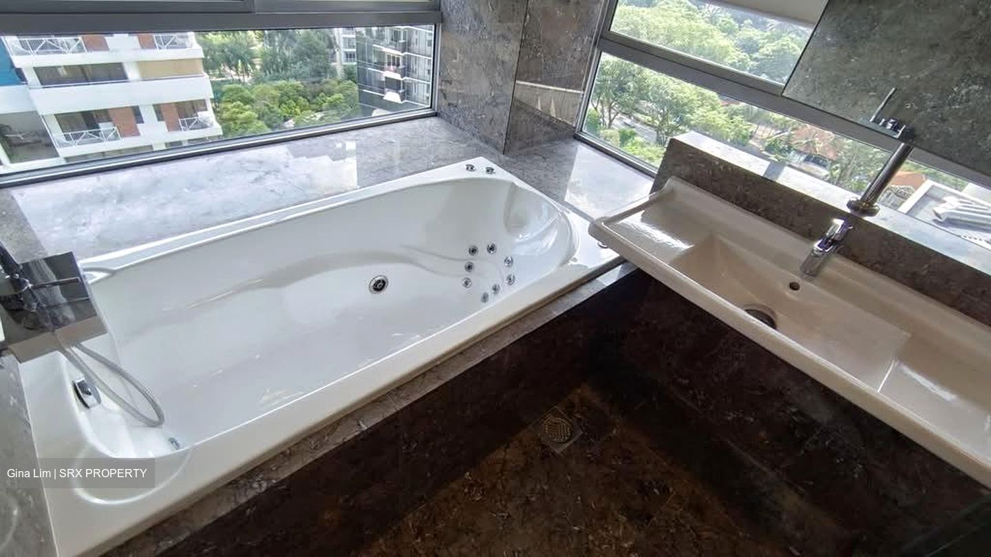Suites @ Cairnhill (D9), Apartment #602861201
